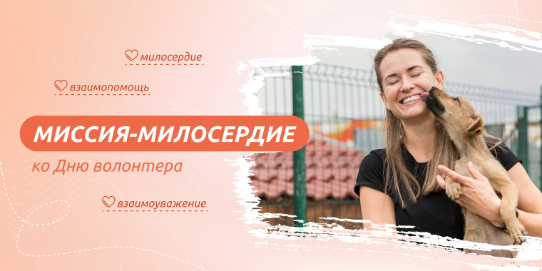 Разговоры о важном «Миссия-милосердие (ко Дню волонтера)».
